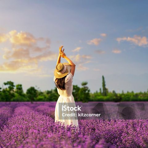 Jim Agpalo [301km]